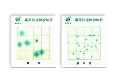 霉菌、酵母菌測試片